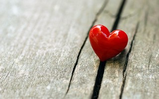 Valentines_Day 80.jpg